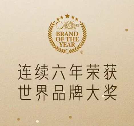 GETHA吉达连续六年荣获2020-2021世界品牌大奖！